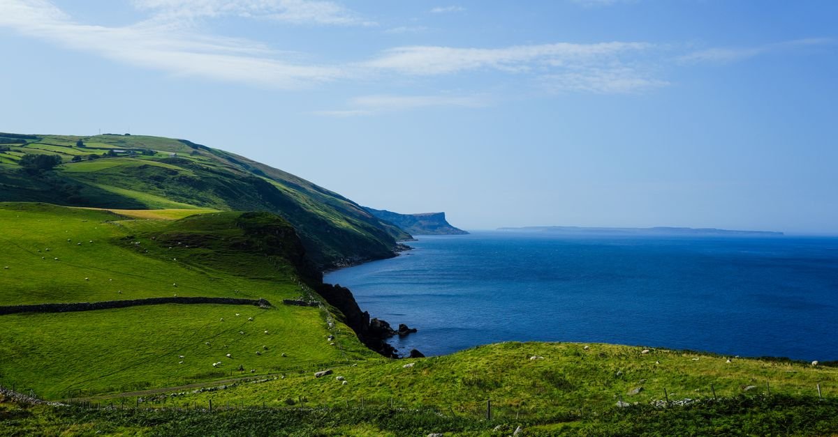 DeepL Acquires Mixhalo as Northern Ireland Launches £7.2M Language Services Tender